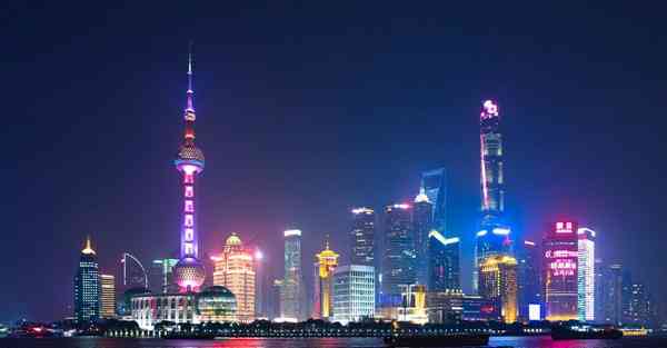 布谷鸟加速器的
